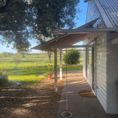 Studio For Lease - NSW - Moree - 2400 - Studio with a view  (Image 2)