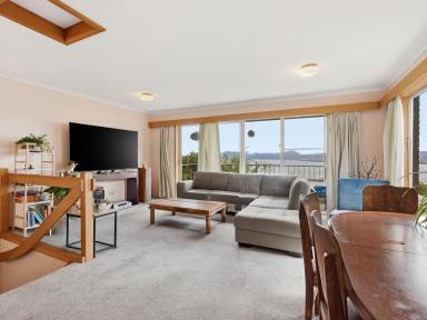 Unit For Lease - TAS - Sandy Bay - 7005 - Views & Sunshine in the heart of Sandy Bay  (Image 2)