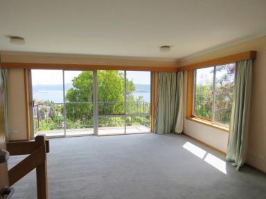 Unit For Lease - TAS - Sandy Bay - 7005 - Views & Sunshine in the heart of Sandy Bay  (Image 2)