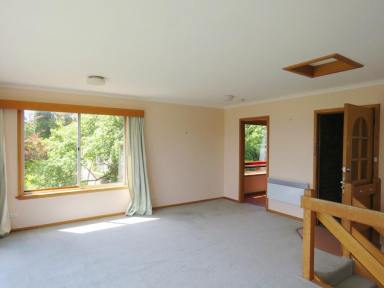 Unit For Lease - TAS - Sandy Bay - 7005 - Views & Sunshine in the heart of Sandy Bay  (Image 2)