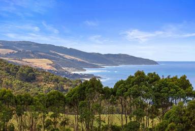 House For Sale - VIC - Apollo Bay - 3233 - SPECTACULAR 180 DEGREE OCEAN VIEWS  (Image 2)