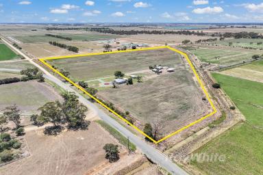 Lifestyle For Sale - VIC - Ballendella - 3561 - Embrace the Perfect Country Lifestyle with Modern Comforts - Your Home Awaits in Ballendella!  (Image 2)