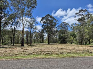 Lifestyle For Sale - QLD - Blackbutt North - 4314 - Prime 6.9 Acres only 5 Minutes to Blackbutt Town  (Image 2)