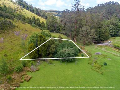 Residential Block For Sale - VIC - Apollo Bay - 3233 - A piece of paradise  (Image 2)