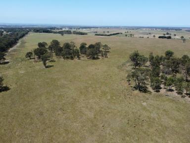 Farmlet For Sale - VIC - Bairnsdale - 3875 - 37.7 HECTARES CLOSE TO BAIRNSDALE  (Image 2)