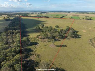 Farmlet For Sale - VIC - Bairnsdale - 3875 - 37.7 HECTARES CLOSE TO BAIRNSDALE  (Image 2)