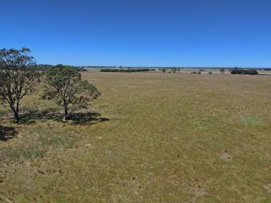 Farmlet For Sale - VIC - Bairnsdale - 3875 - 37.7 HECTARES CLOSE TO BAIRNSDALE  (Image 2)