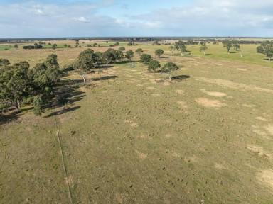 Cropping For Sale - VIC - Bairnsdale - 3875 - PRODUCTIVE FARMLAND CLOSE TO TOWN  (Image 2)