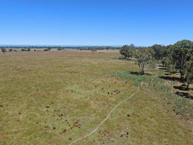 Cropping For Sale - VIC - Bairnsdale - 3875 - PRODUCTIVE FARMLAND CLOSE TO TOWN  (Image 2)