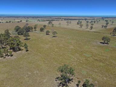 Cropping For Sale - VIC - Bairnsdale - 3875 - PRODUCTIVE FARMLAND CLOSE TO TOWN  (Image 2)