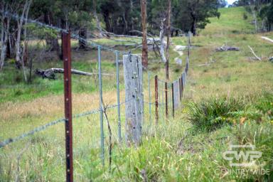 Mixed Farming For Sale - NSW - Pinkett - 2370 - "Woorara" - Versatile Grazing & Lifestyle Opportunity  (Image 2)