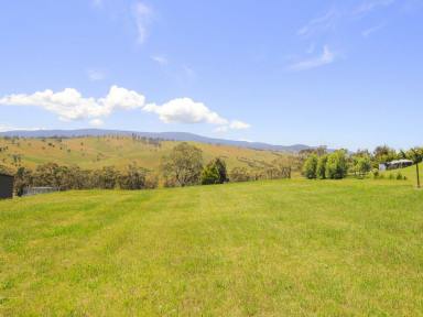 Residential Block For Sale - VIC - Omeo - 3898 - ½ AN ACRE IN ELEVATED POSITION  (Image 2)