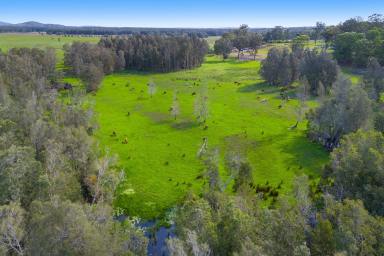 Residential Block For Sale - NSW - Belmore River - 2440 - Prime Country Coastal Acreage with Flood Free Building Envelope  (Image 2)