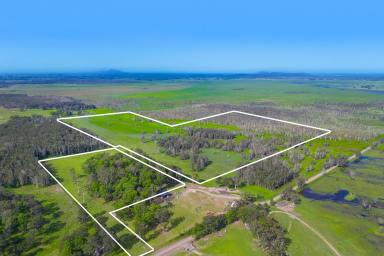 Residential Block For Sale - NSW - Belmore River - 2440 - Prime Country Coastal Acreage with Flood Free Building Envelope  (Image 2)