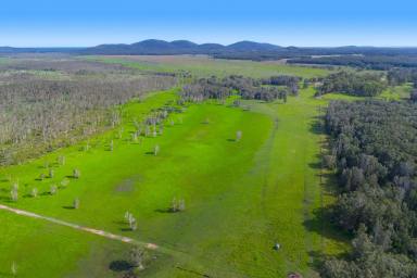 Residential Block For Sale - NSW - Belmore River - 2440 - Prime Country Coastal Acreage with Flood Free Building Envelope  (Image 2)