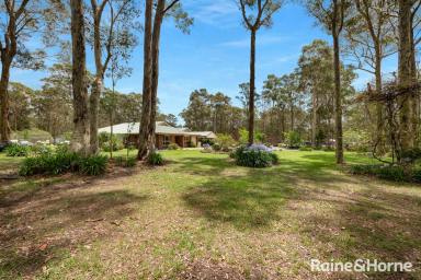 House For Sale - NSW - Nowra Hill - 2540 - Welcome Home to Hakea!  (Image 2)