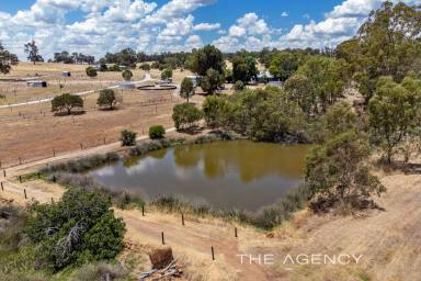 Acreage/Semi-rural For Sale - WA - Wooroloo - 6558 - "SIMPLY SUPERB"  (Image 2)