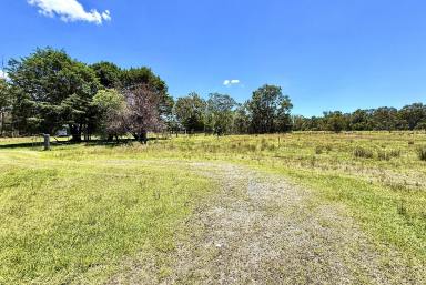 Lifestyle For Sale - NSW - Marulan - 2579 - Peaceful Surroundings, 100 Acres, Lake Size Dams, Ducks, Turtles, Kangaroos, Grazing & Lifestyle, Mix Of Bushland, Near Station & Shops.  (Image 2)