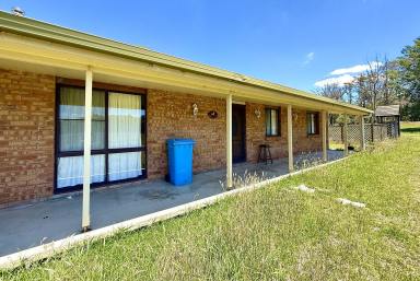 Lifestyle For Sale - NSW - Marulan - 2579 - Peaceful Surroundings, 100 Acres, Lake Size Dams, Ducks, Turtles, Kangaroos, Grazing & Lifestyle, Mix Of Bushland, Near Station & Shops.  (Image 2)