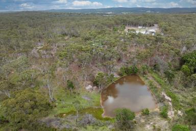 Acreage/Semi-rural For Sale - NSW - Bungonia - 2580 - A HOME AMONGST THE GUM TREES, 25 ACRES, 4 BR PLUS STUDY, 2 DAMS, LARGE SHED  (Image 2)