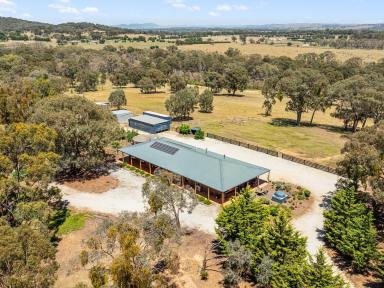 Acreage/Semi-rural For Sale - VIC - Tallarook - 3659 - RURAL OPPORTUNITY IN TALLAROOK  (Image 2)