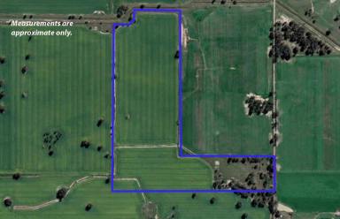 Cropping For Sale - VIC - Wunghnu - 3635 - CROPPING BLOCK WITH BUSHLAND RESERVE  (Image 2)