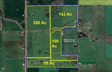 Cropping For Sale - VIC - Wunghnu - 3635 - CROPPING BLOCK WITH BUSHLAND RESERVE  (Image 2)