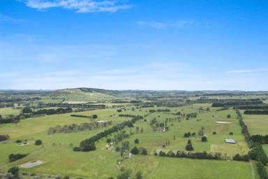 Livestock For Sale - NSW - Sutton Forest - 2577 - Araluen Grazing - Substantial Acreage - Within Easy Drive of Sydney  (Image 2)