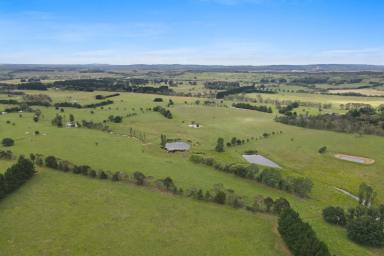 Livestock For Sale - NSW - Sutton Forest - 2577 - Araluen Grazing - Substantial Acreage - Within Easy Drive of Sydney  (Image 2)