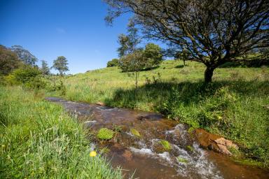 Mixed Farming For Sale - NSW - Fernbrook - 2453 - 'Heronwood', Dorrigo  (Image 2)