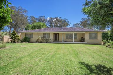 Mixed Farming For Sale - NSW - Fernbrook - 2453 - 'Heronwood', Dorrigo  (Image 2)