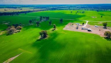 Mixed Farming For Sale - NSW - Bectric - 2665 - RARE OPPORTUNITY CLOSE TO TEMORA  (Image 2)