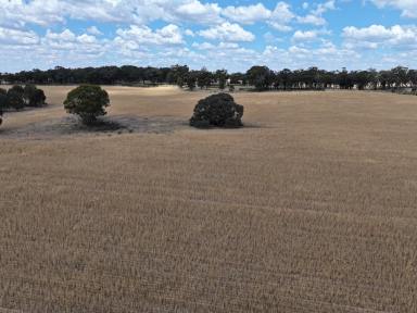 Mixed Farming For Sale - NSW - Combaning - 2666 - Exciting Opportuinity For The Astute Buyer  (Image 2)