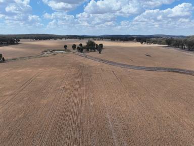 Mixed Farming For Sale - NSW - Combaning - 2666 - Exciting Opportuinity For The Astute Buyer  (Image 2)