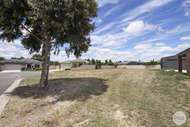 Residential Block For Sale - VIC - Miners Rest - 3352 - 816m2 (Approx.) Of Flat, Fenced, Titled Land  (Image 2)