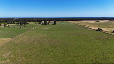 Mixed Farming For Sale - WA - Marybrook - 6280 - PRISTINE SOUTH WEST LOCATION  (Image 2)