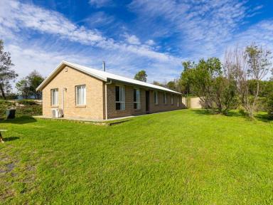 Acreage/Semi-rural For Sale - NSW - Bemboka - 2550 - RURAL LIFESTYLE  (Image 2)