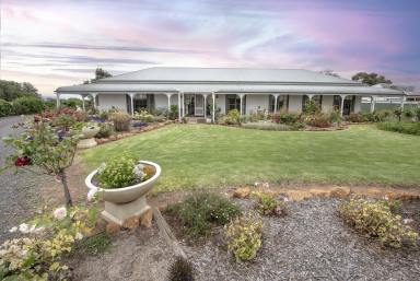 House For Sale - VIC - Lake Boga - 3584 - More than meets the eye............  (Image 2)