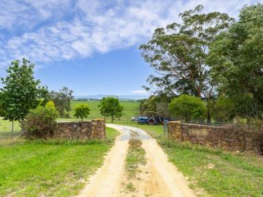 Acreage/Semi-rural For Sale - NSW - Candelo - 2550 - COUNTRY LIVING  (Image 2)