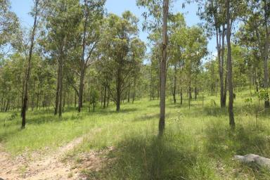 Lifestyle For Sale - NSW - Rocky River - 2372 - A NATURE TRAIL  (Image 2)