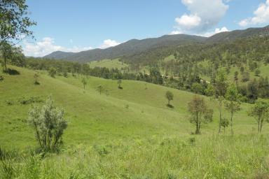 Lifestyle For Sale - NSW - Rocky River - 2372 - GOOD GRAZING, GOOD TIMBER  (Image 2)