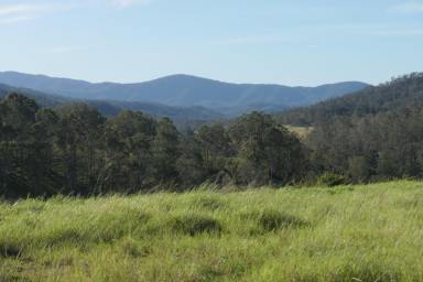 Lifestyle For Sale - NSW - Rocky River - 2372 - KING OF THE JUNGLE  (Image 2)