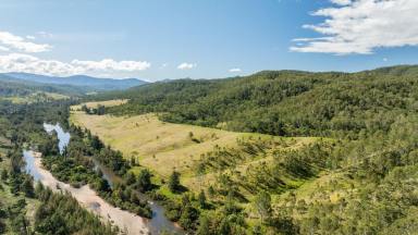 Lifestyle For Sale - NSW - Rocky River - 2372 - BUY A FARM  (Image 2)