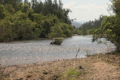 Lifestyle For Sale - NSW - Rocky River - 2372 - KING OF THE JUNGLE (Image 2)