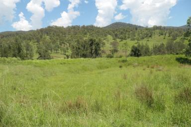 Lifestyle For Sale - NSW - Rocky River - 2372 - KING OF THE JUNGLE  (Image 2)