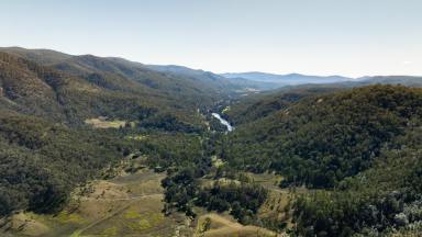 Lifestyle For Sale - NSW - Rocky River - 2372 - LIFE ON THE WILD SIDE (Image 2)