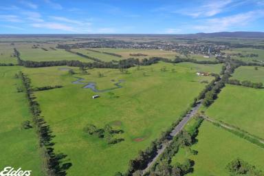 Other (Rural) For Sale - VIC - Yarram - 3971 - HIGHLY PRODUCTIVE ALLUVIAL SOILS  (Image 2)