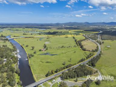 Livestock For Sale - NSW - Bulahdelah - 2423 - Size, Location and the Myall River  (Image 2)