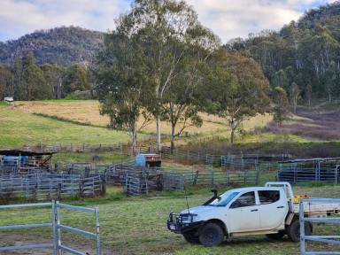 Lifestyle For Sale - NSW - Rocky River - 2372 - THE STATION- ROCKY RIVER  (Image 2)