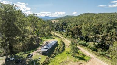 Lifestyle For Sale - NSW - Rocky River - 2372 - THE STATION- ROCKY RIVER  (Image 2)